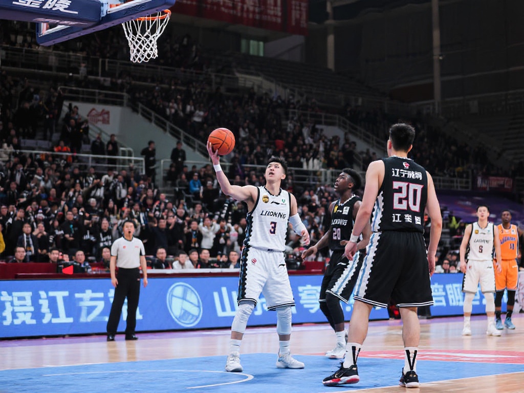 不仅为用户 不仅为用户